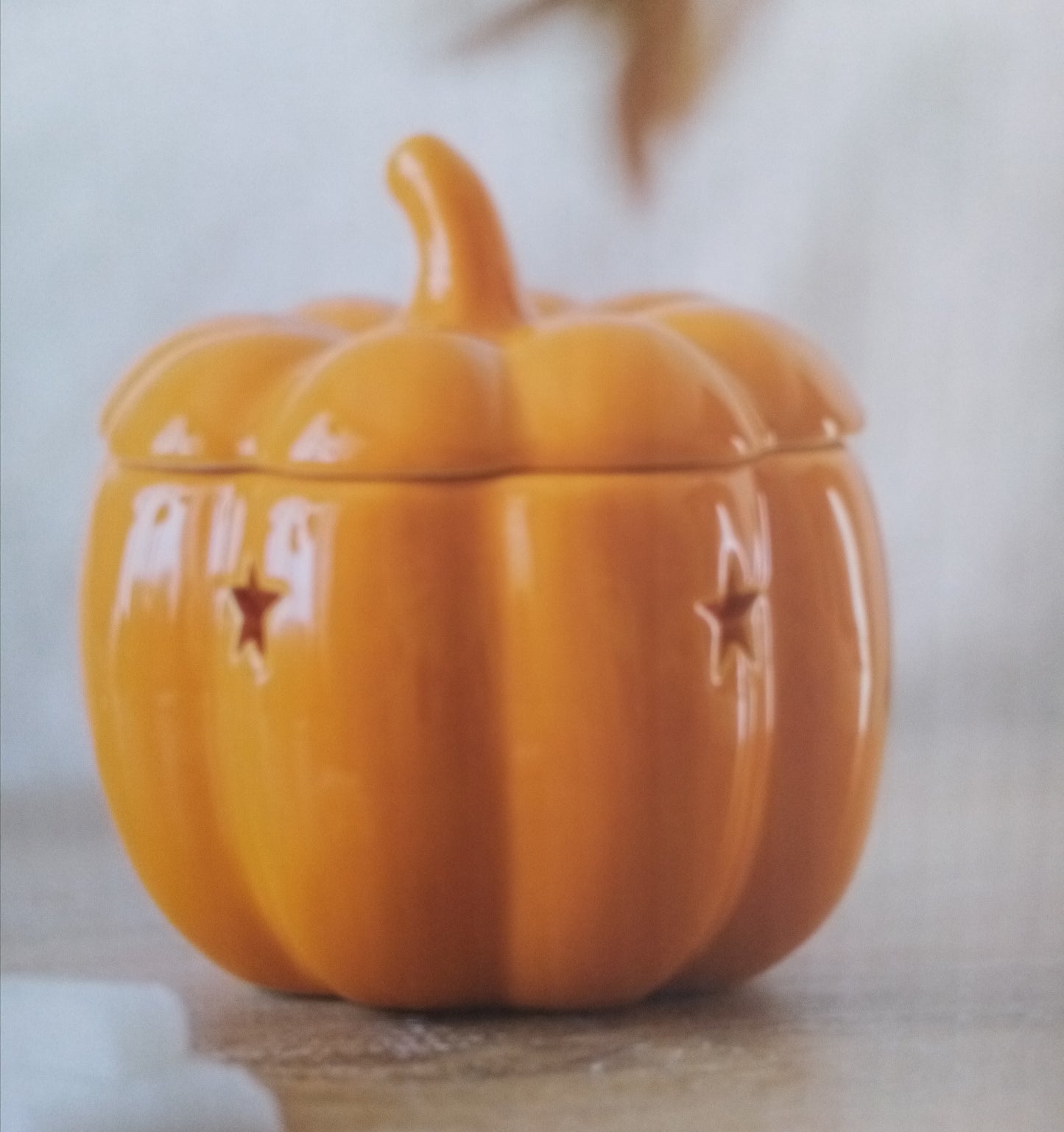 Pumpkin front view with lid