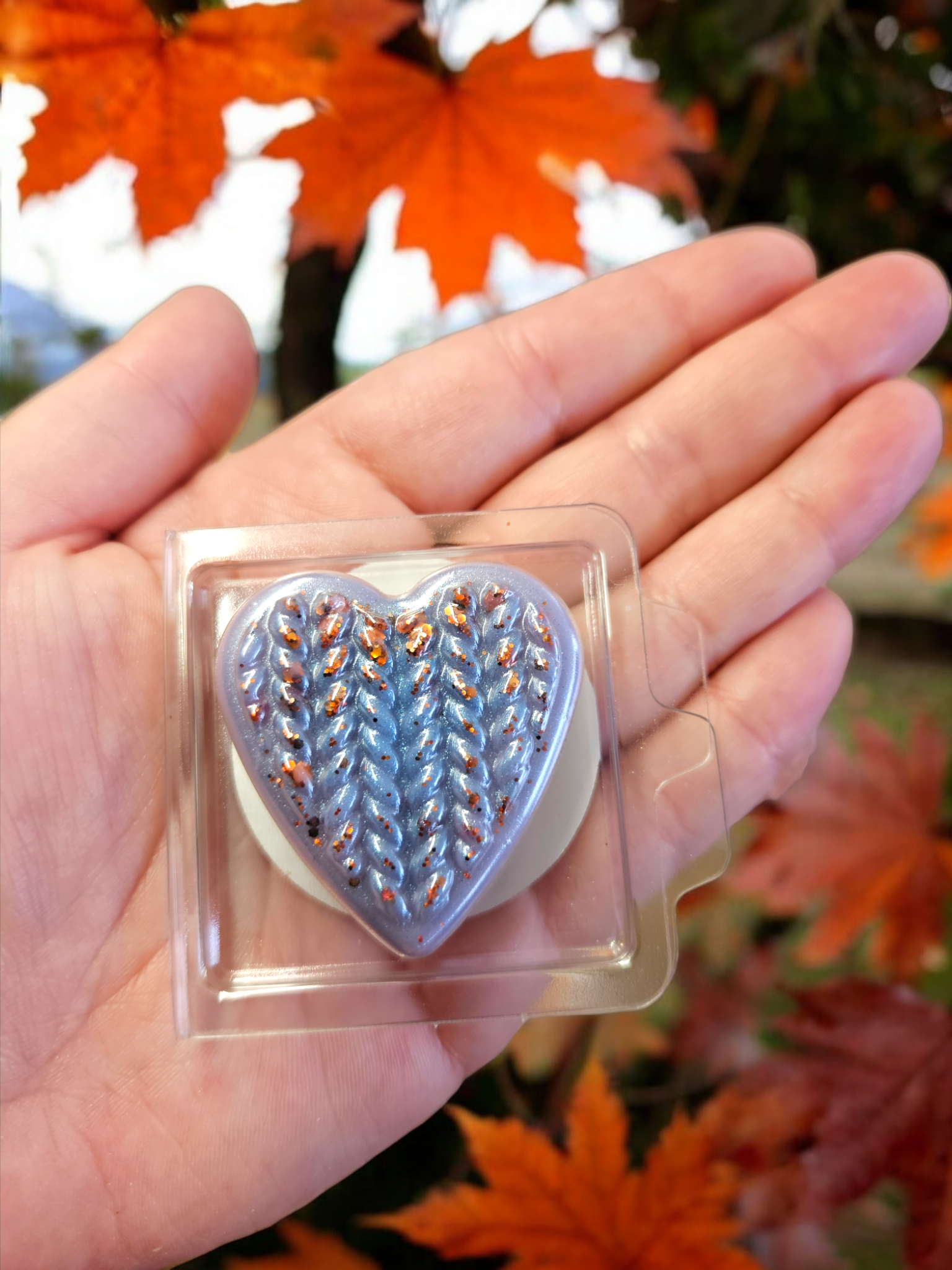 A visual of the heart clam in a hand to give an idea of size